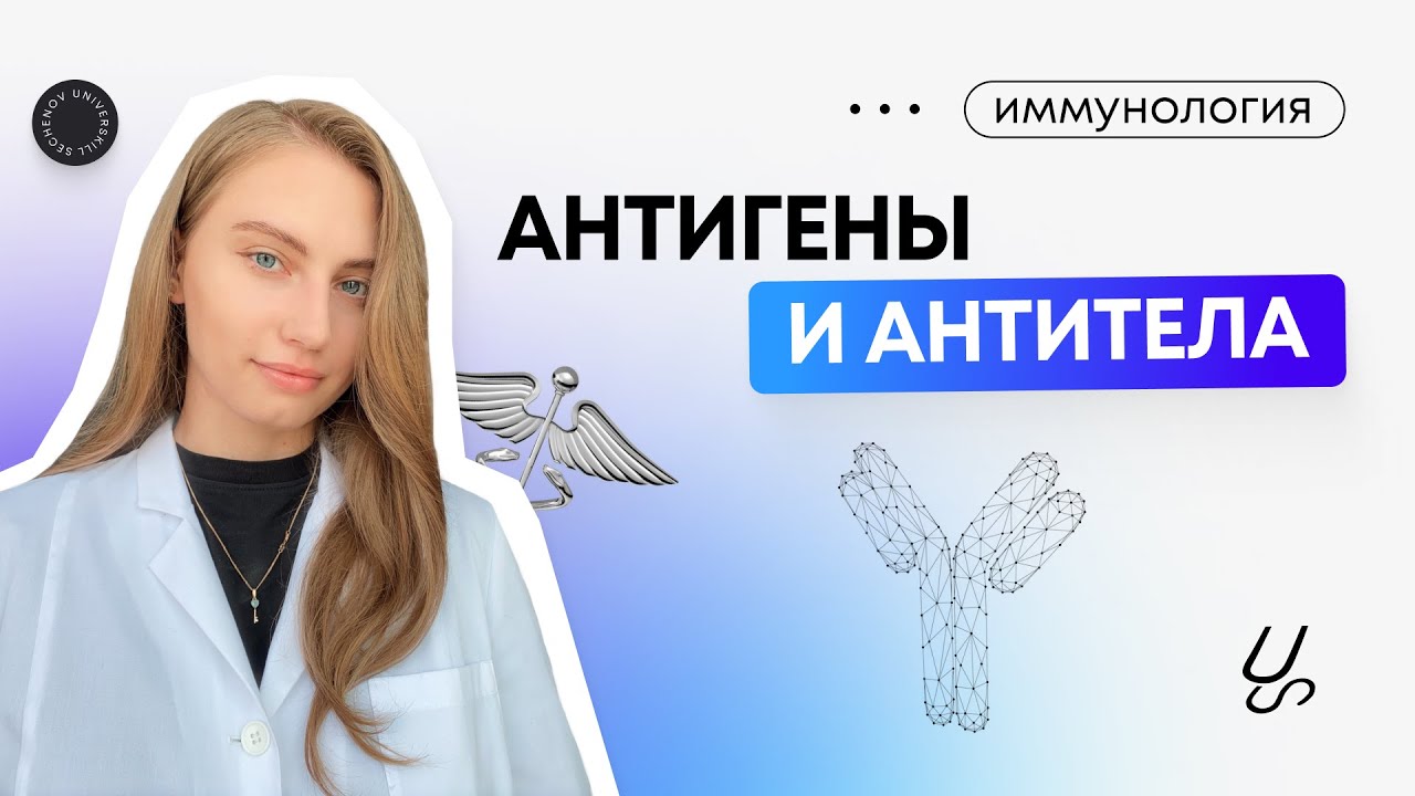 Иммунология | Антигены и антитела