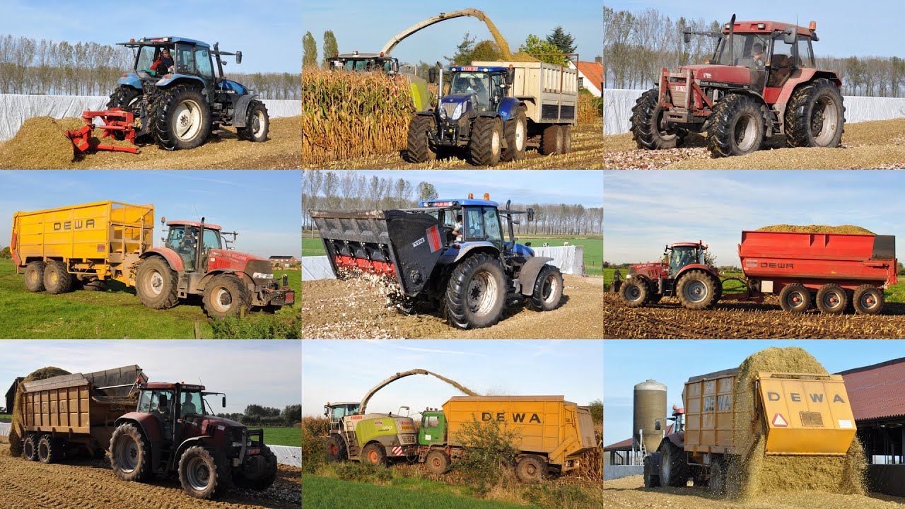Claas Jaguar 950 & VDW bietensnijder - Loonw. Luc Willems - mais & bieten 2014
