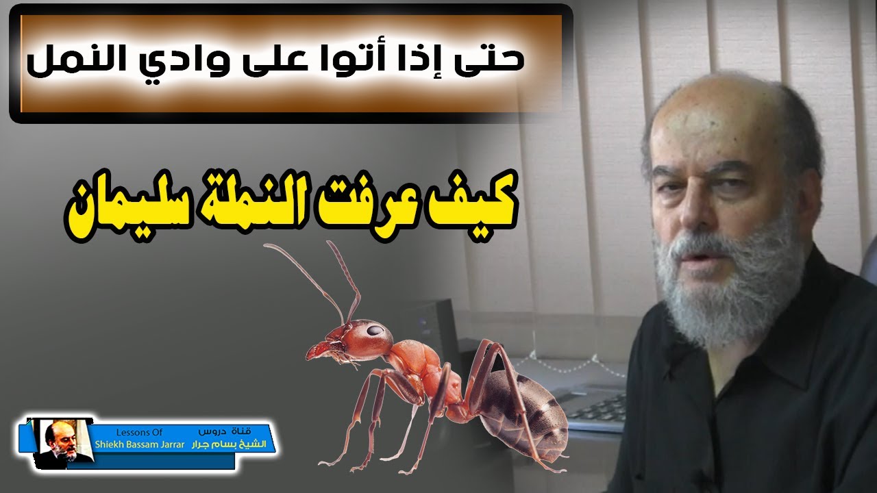 كيف عرفت النملة سليمان عليه السلام | حتى اذا اتوا على وادي النمل