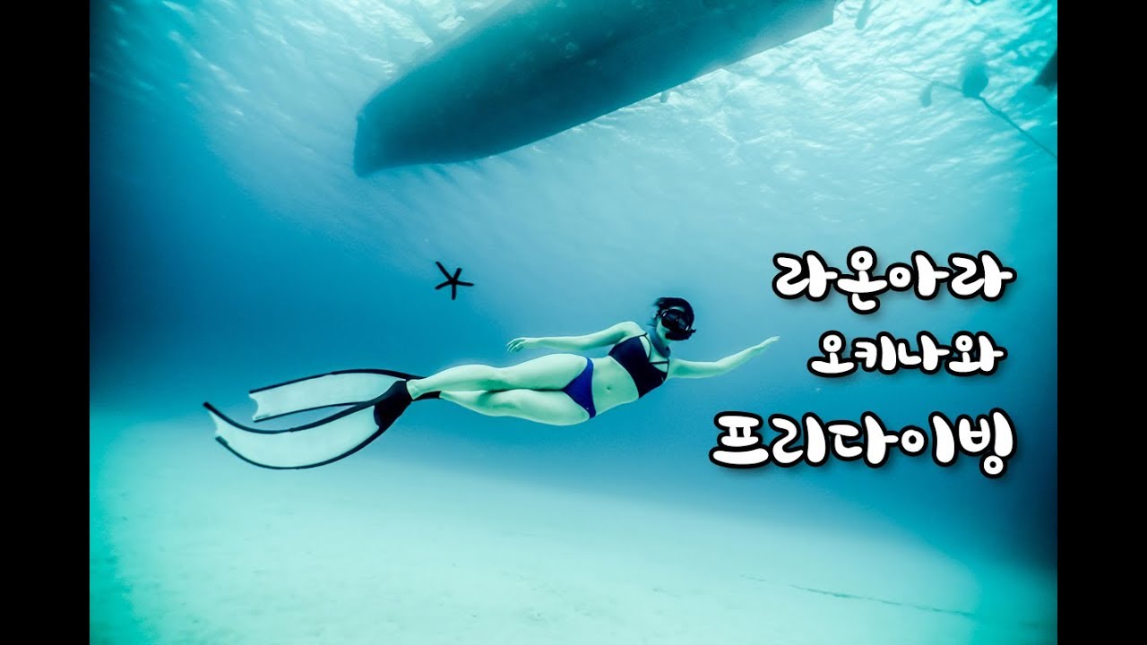 라온아라 2018 오키나와 프리다이빙 투어 [ Raonara freediving in okinawa ]
