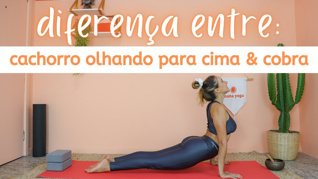 Diferença entre Cobra e Cachorro Olhando Para Cima - Bhujangasana e Urdhva Mukha Svanasana