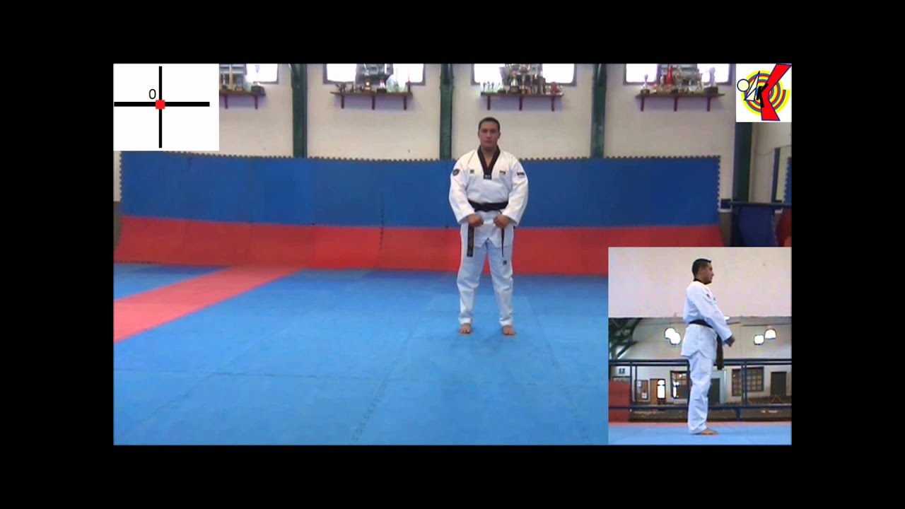 LIGA DE TAEKWONDO DE BOGOTA CRUZ BASICA