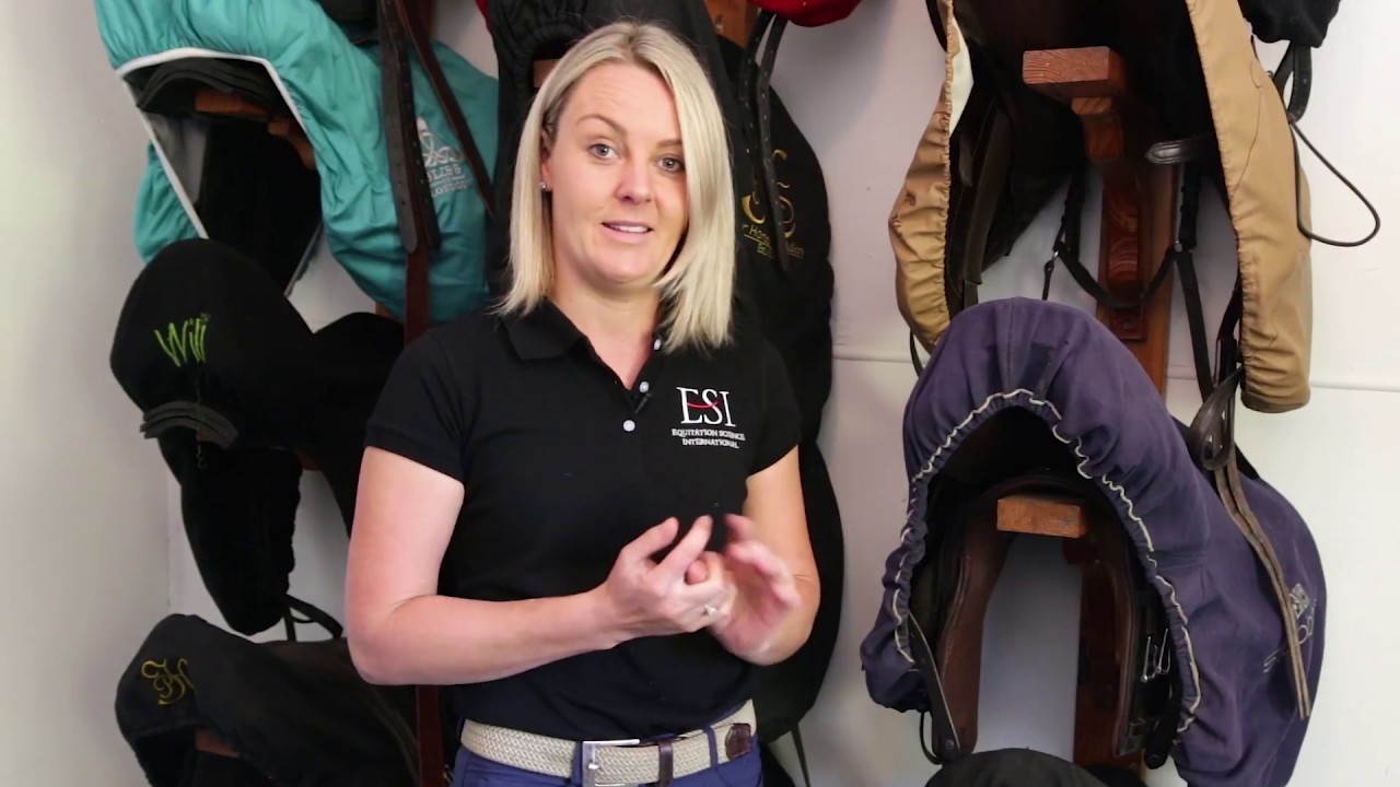 How Horses Learn Short Course | Equitation Science International