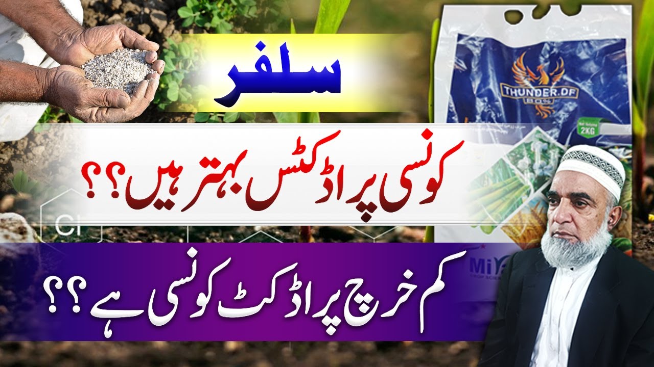 Which are best products of Sulphur || Crop Reformer