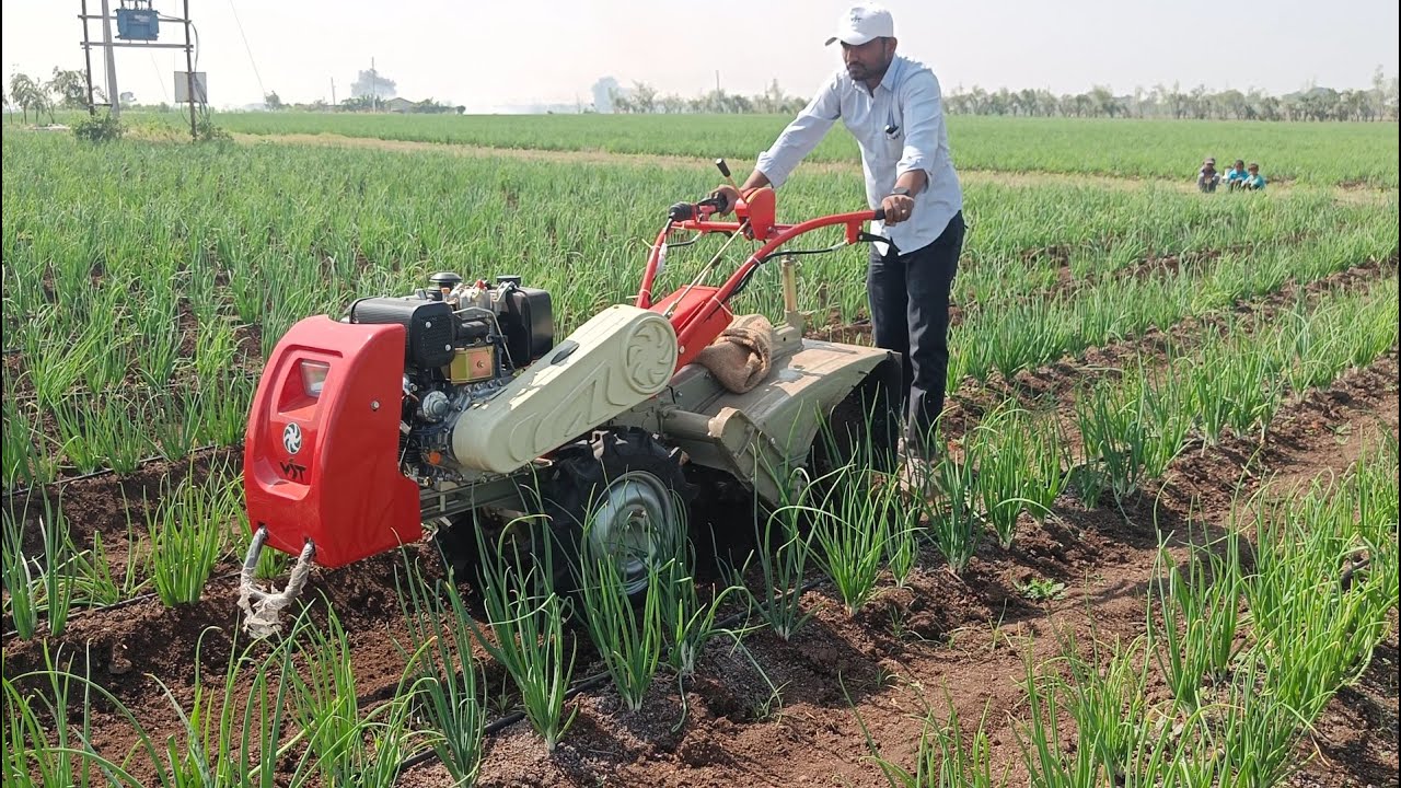 VST 9 HP Power Tiller Using in farm | Dandawate Tractors | #dandwatetractors #powertiller
