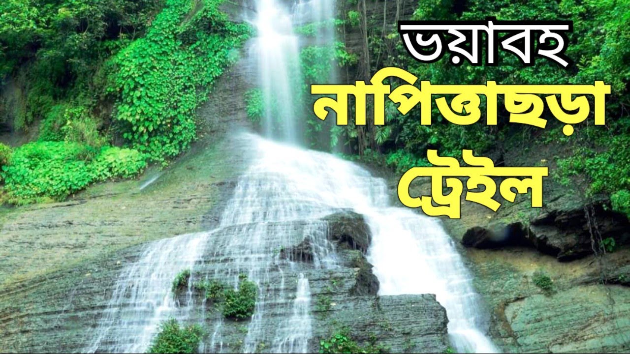 napittachora trail । নাপিত্তাছড়া ট্রেইল । 