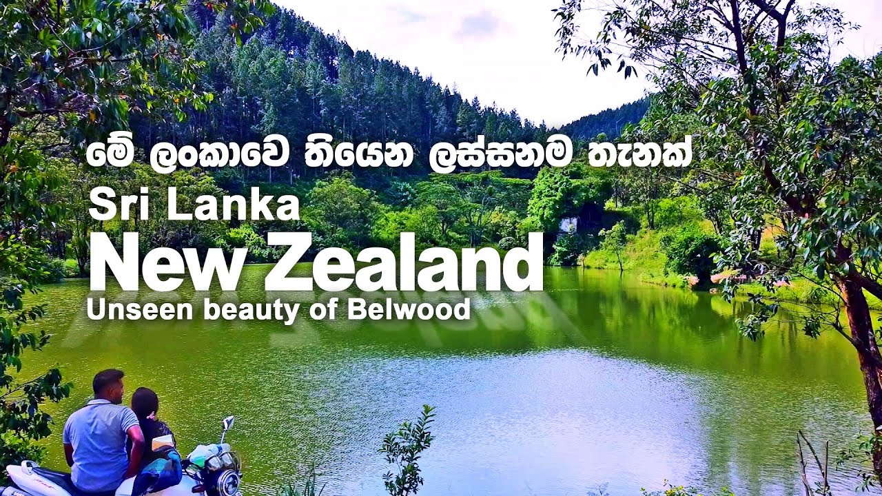 Bellwood | Sri Lanka | බෙල්වූඩ් පුංචි නවසීලන්තය | Unseen cinematic 360 drone videos | Travel Diary