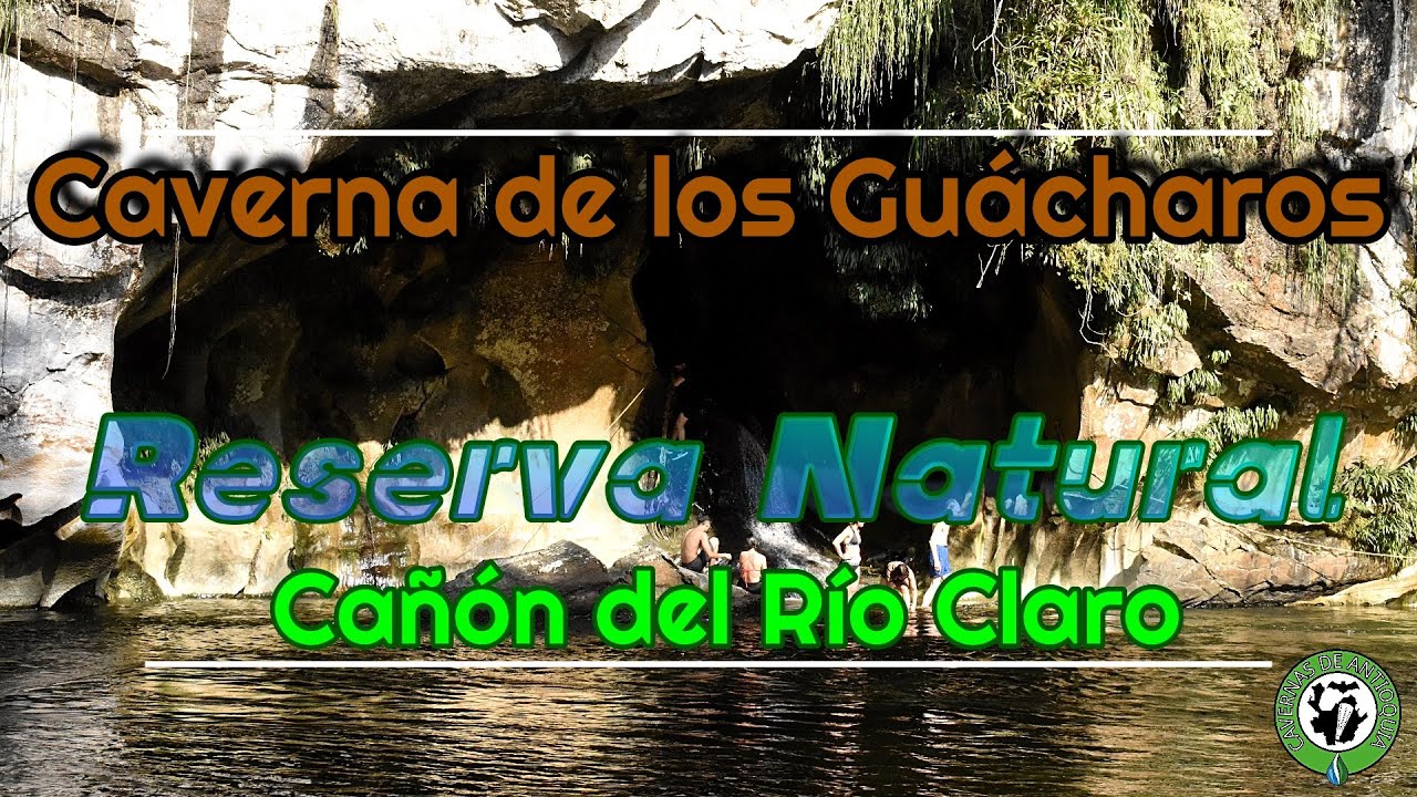 CAVERNA DE LOS GUÁCHAROS-RESERVA NATURAL CAÑÓN DEL RÍO CLARO
