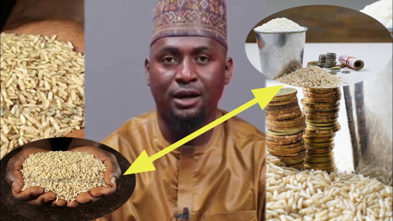 Yadda Ake Auna Zakat Al-Fitr Da Wanda ya dace Abawa