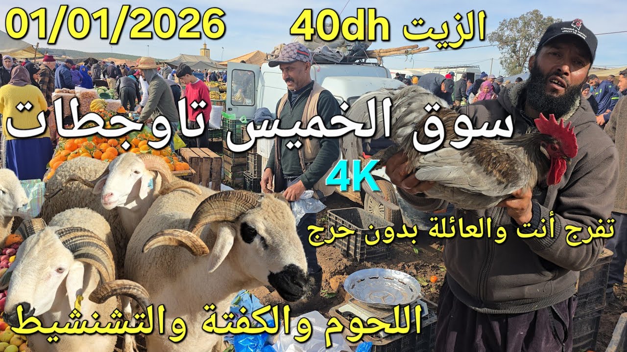 أثمنة الغنم والدجاج واللحوم والخضر سوق الخميس عين تاوجطات اليوم 01/01/2026