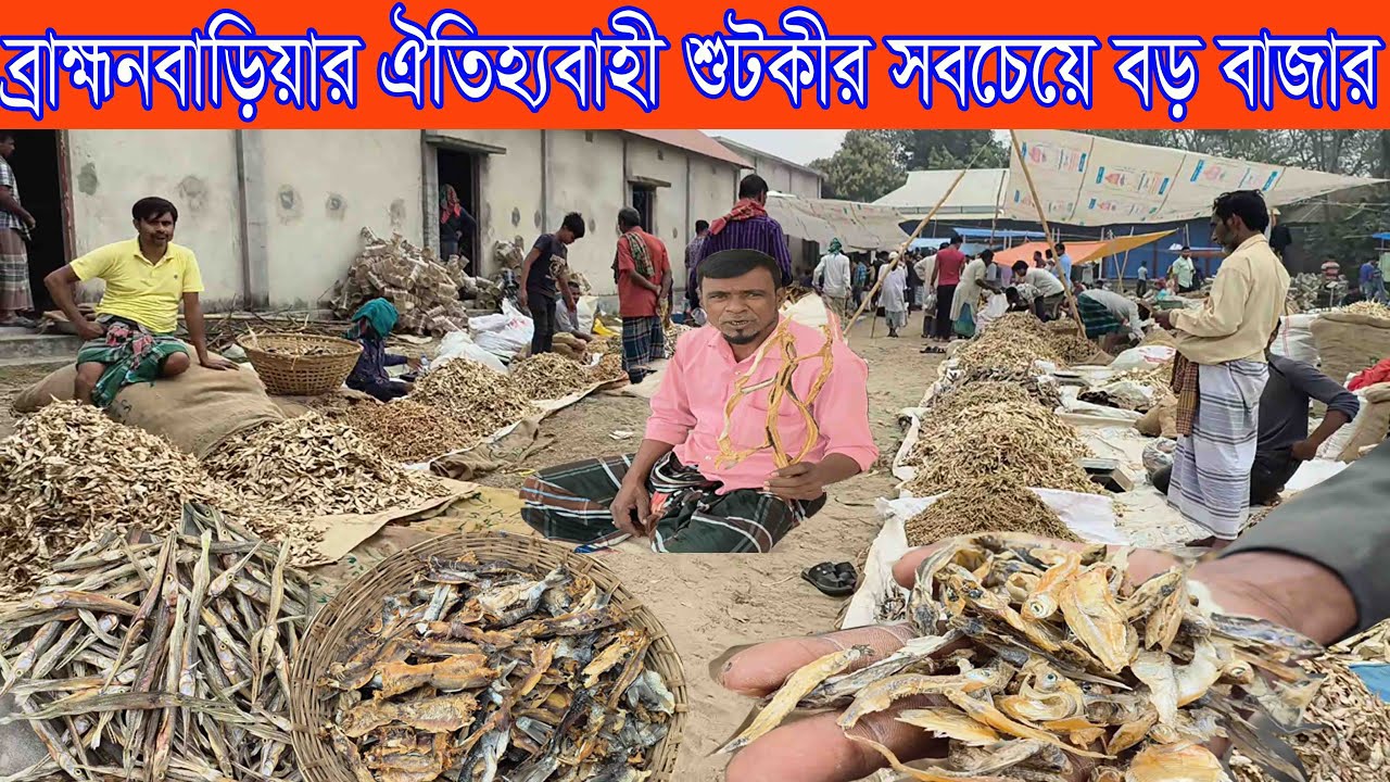 ব্রাহ্মনবাড়িয়া নবীনাগরের বিখ্যাত বাইশমৌজা হাট থেকে নদ নদী খাল বিলের  এবং শুটকীর দাম জানুন