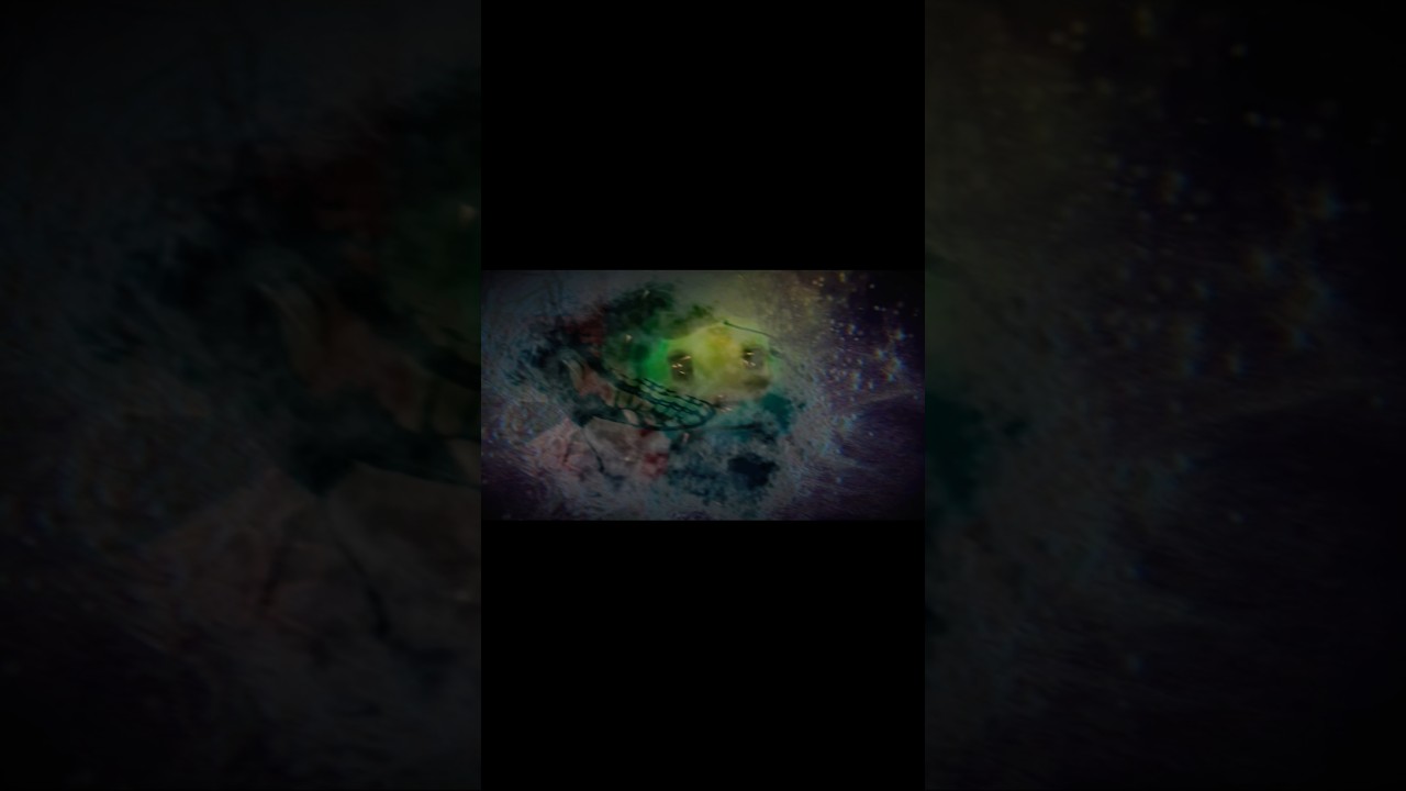🩶 𝖑𝖔𝖓𝖊𝖑𝖞 𝖑𝖔𝖓𝖊𝖑𝖞 🩶 