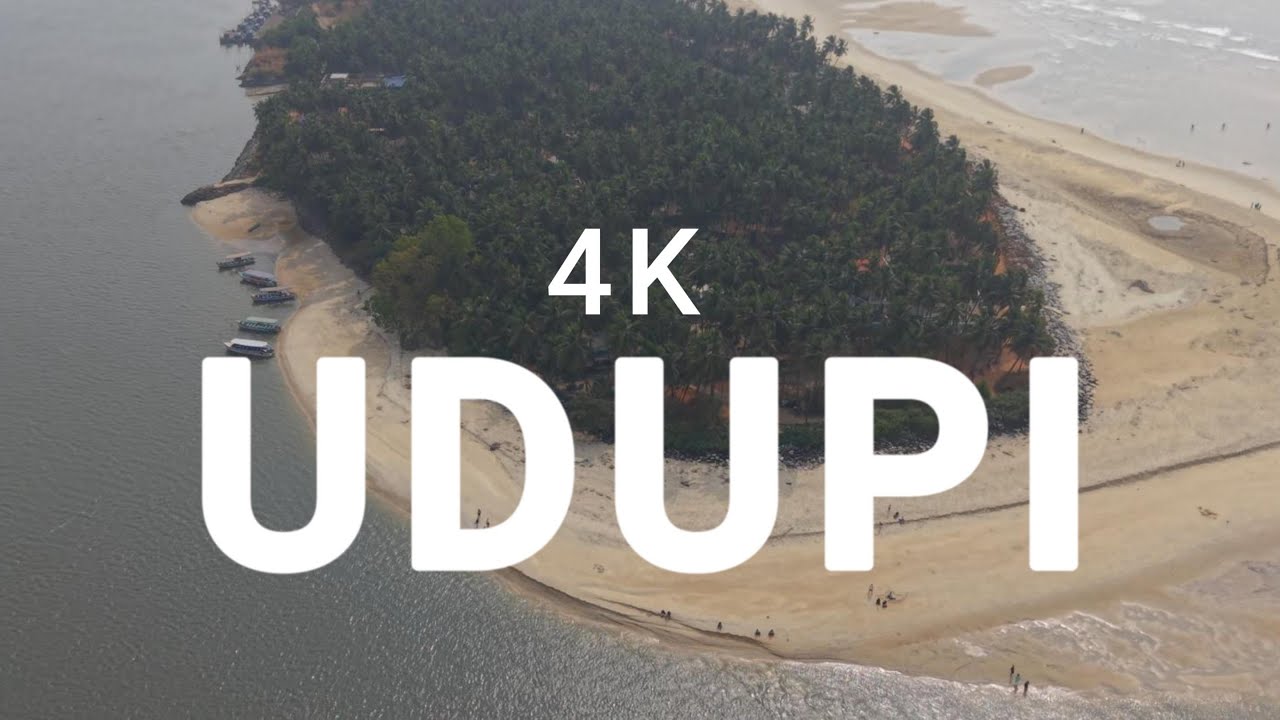 UDIPI 1