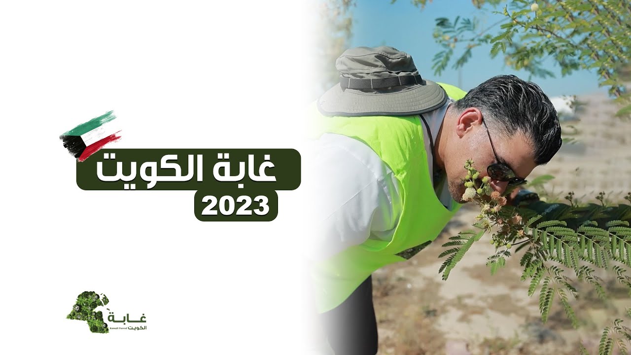 غابة الكويت 2023