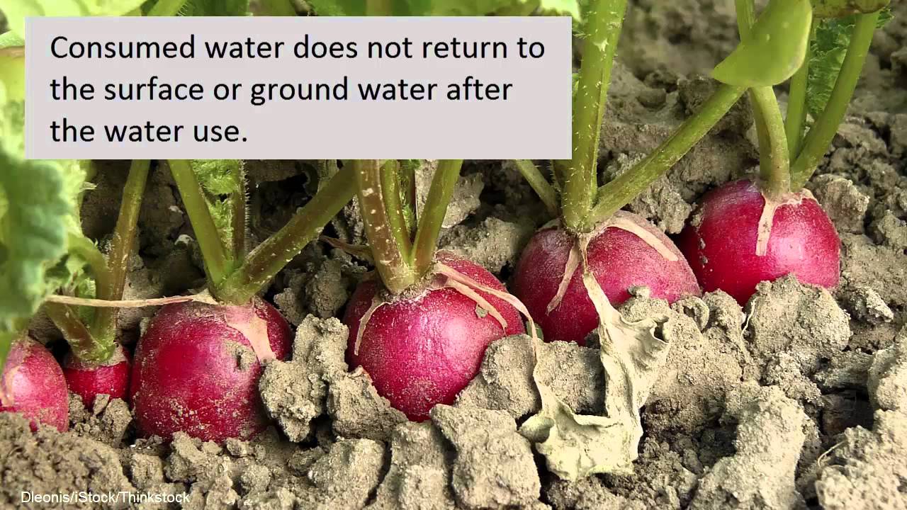 Water Rights and Historical Beneficial Use