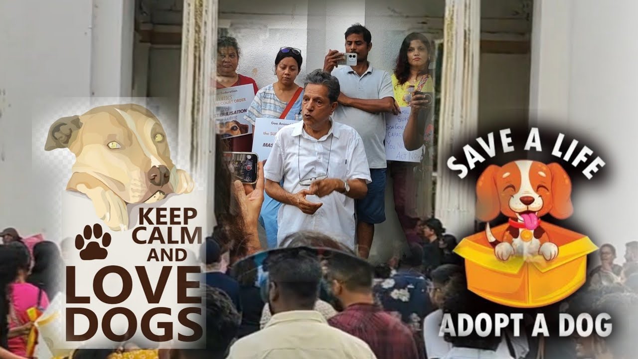 Voices for the Voiceless | Goa Animal Federation Meet ❤️