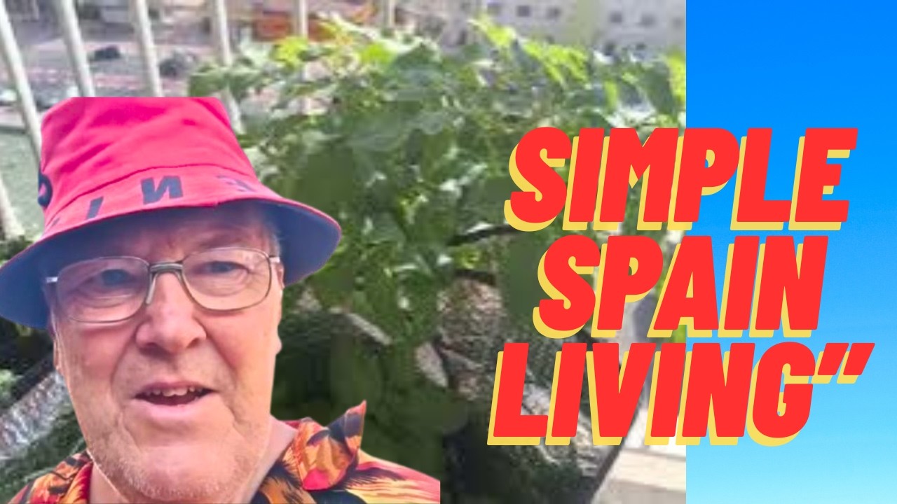My Little Garden in Benidorm 🇪🇸 | Life in Spain at Home