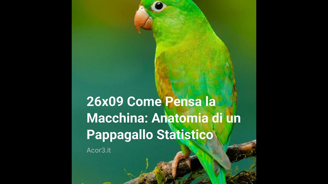 26×09 Come Pensa la Macchina: Anatomia di un Pappagallo Statistico