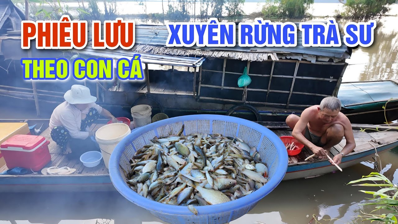 CUỘC PHIÊU LƯU XUYÊN RỪNG TRÀ SƯ - NGHỀ MƯU SINH THEO CON CÁ MÙA NƯỚC NỔI | OKDD