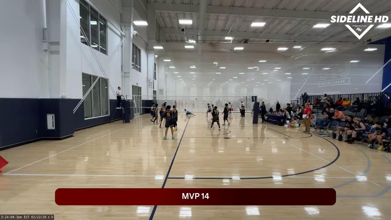 MVP 14 Gold (2026.02.22)