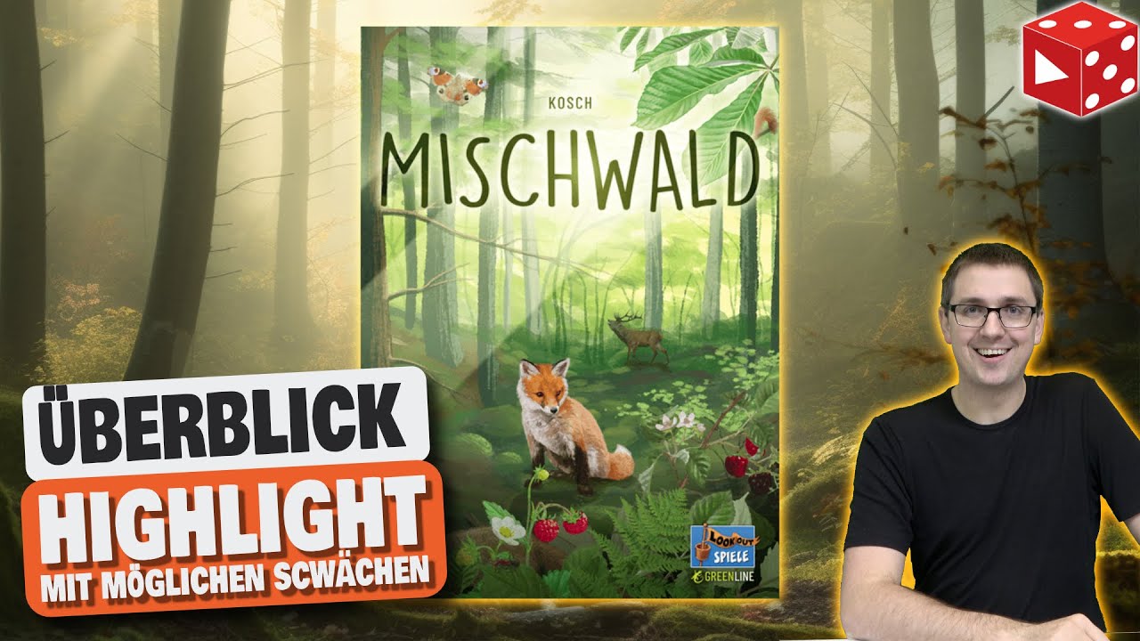 Mischwald - Ein Überblick inkl. aller Stärken und Schwächen