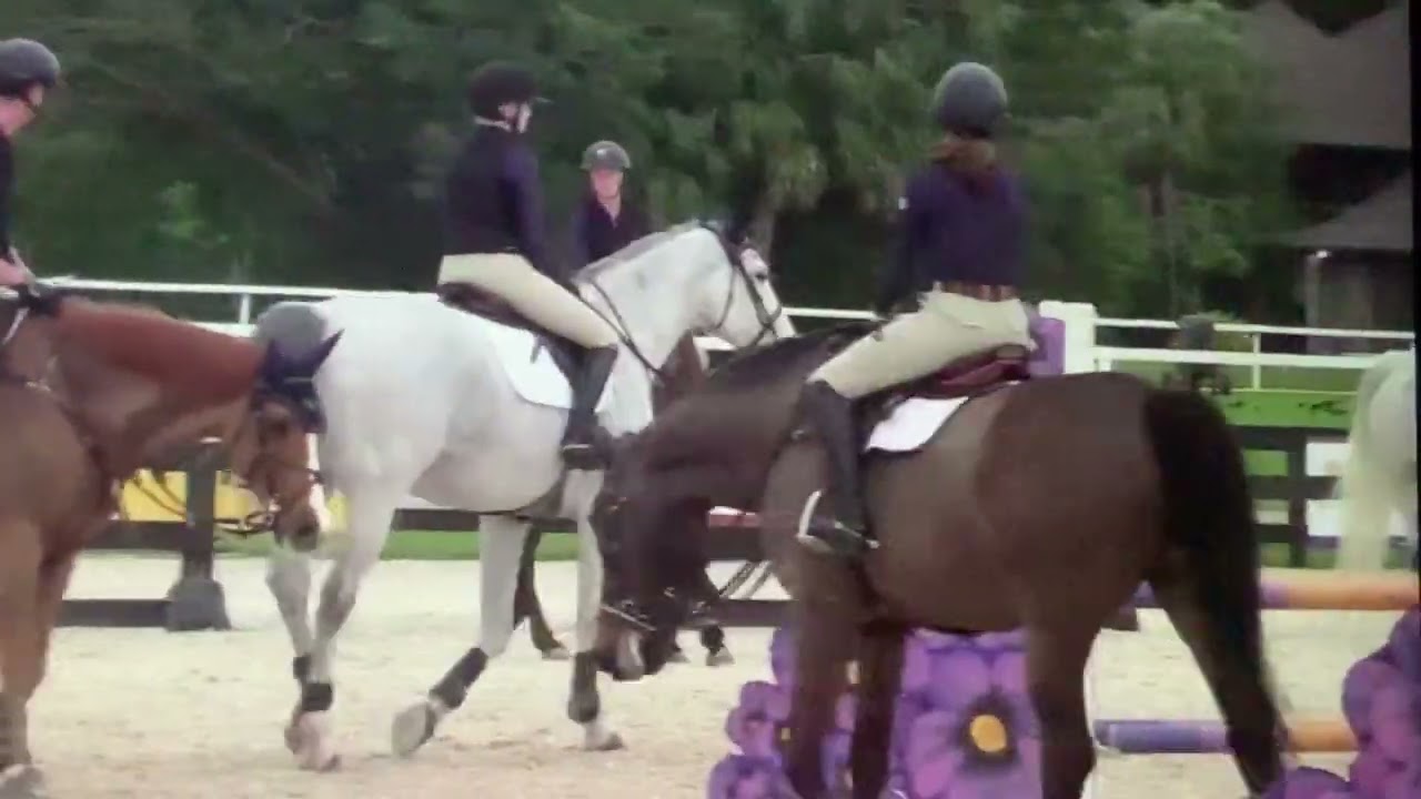 Katie Prudent USEF Clinic Group 1 Part 8