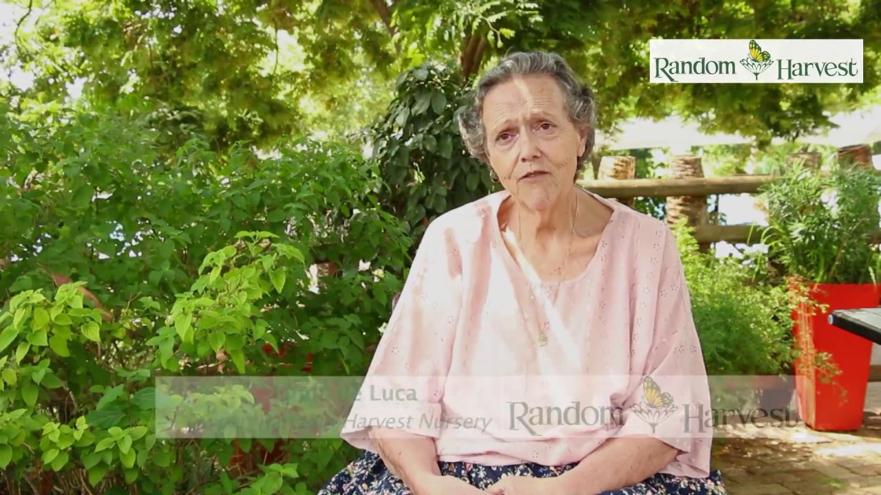 Water wise Gardening with Linda De Luca