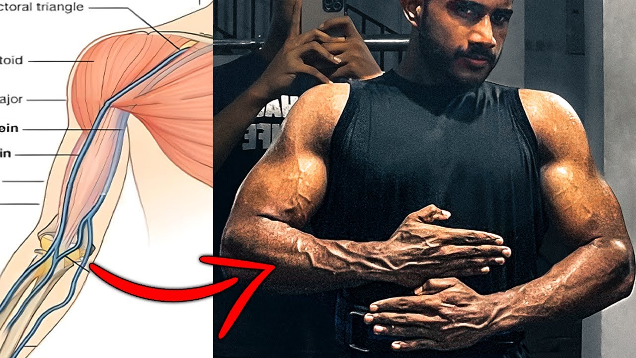 අතේ නහර විද්‍යාවට අනුව පිටතට ගන්නෙ මෙහෙමයි | Vascularity Guide