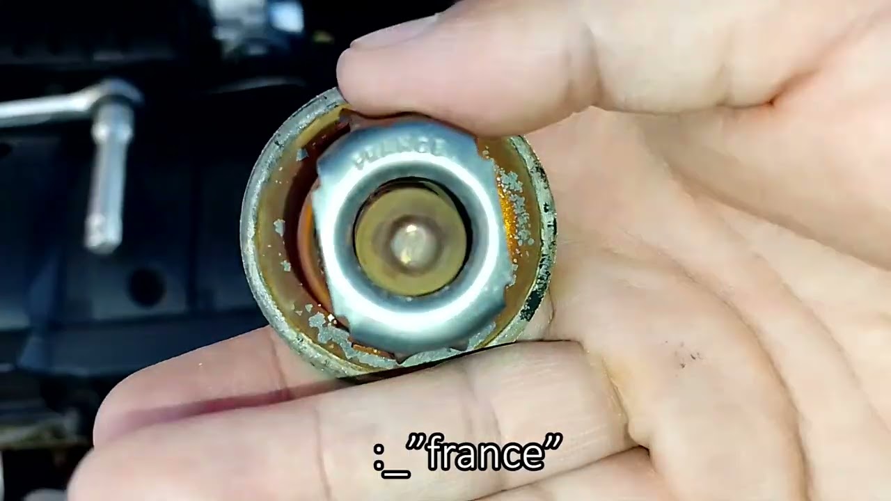 Termostato Peugeot 206