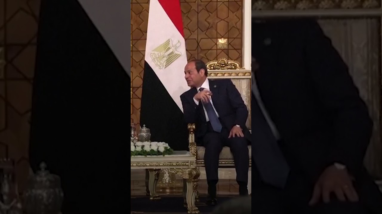 Egyptian and French presidents visit Gaza aid centres amid ceasefire calls