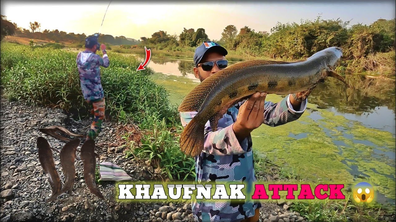 Snackhead Hunt in Village River | Big Fish on Hook | Nadi Ka Khaufnaak Snakehead