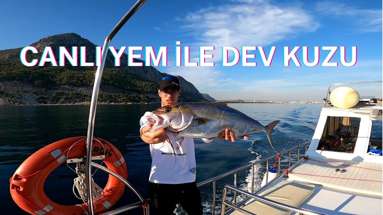 CANLI YEMLE DEV KUZU AVI / BALIK YOLCULUĞU SERİSİ  ANTALYADA KEYİFLİ BİR AV...