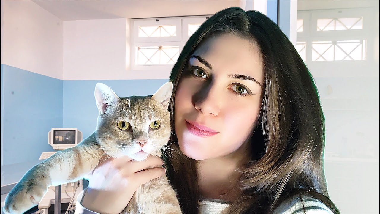 ASMR ROLEPLAY VETERINARIA | Visita Medica al Gatto | Dottoressa Givri