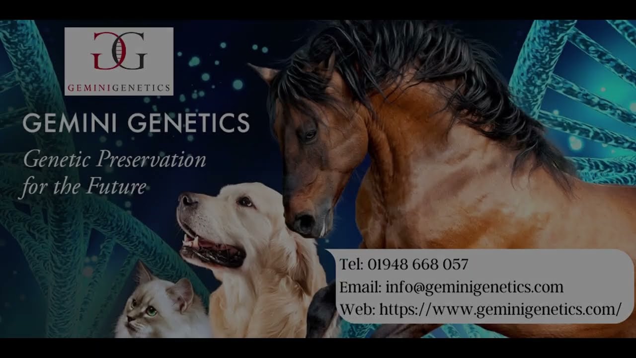 Genetic Preservation at Gemini Genetics!