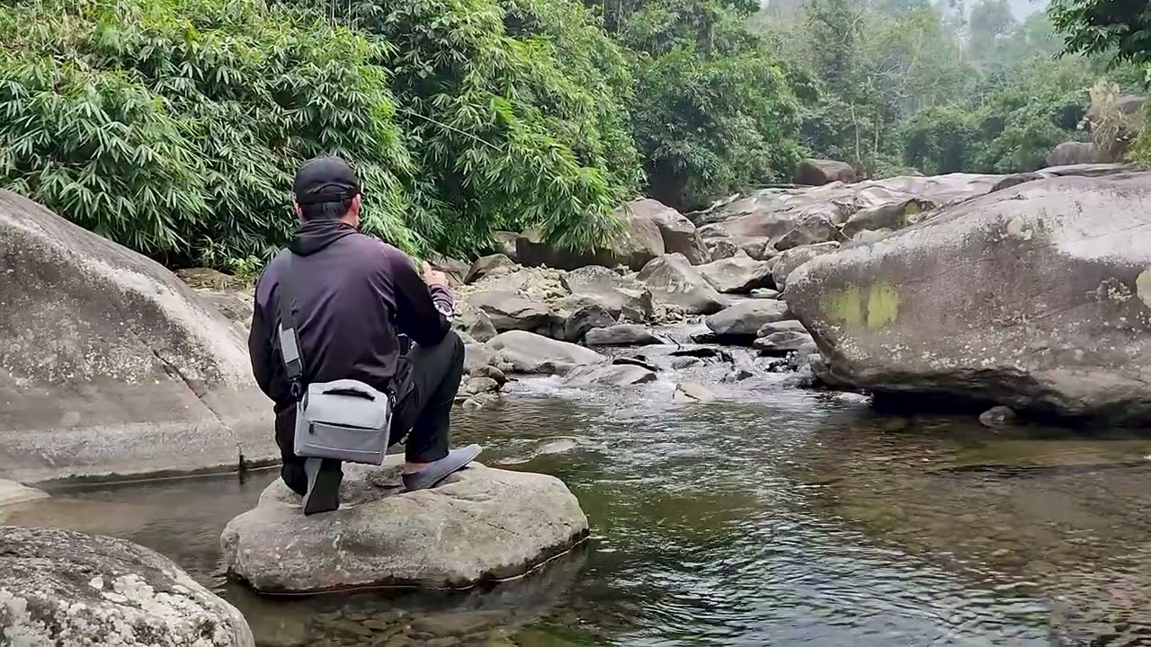 Escape with Me Recording the Sounds of a Hidden Mountain Stream
