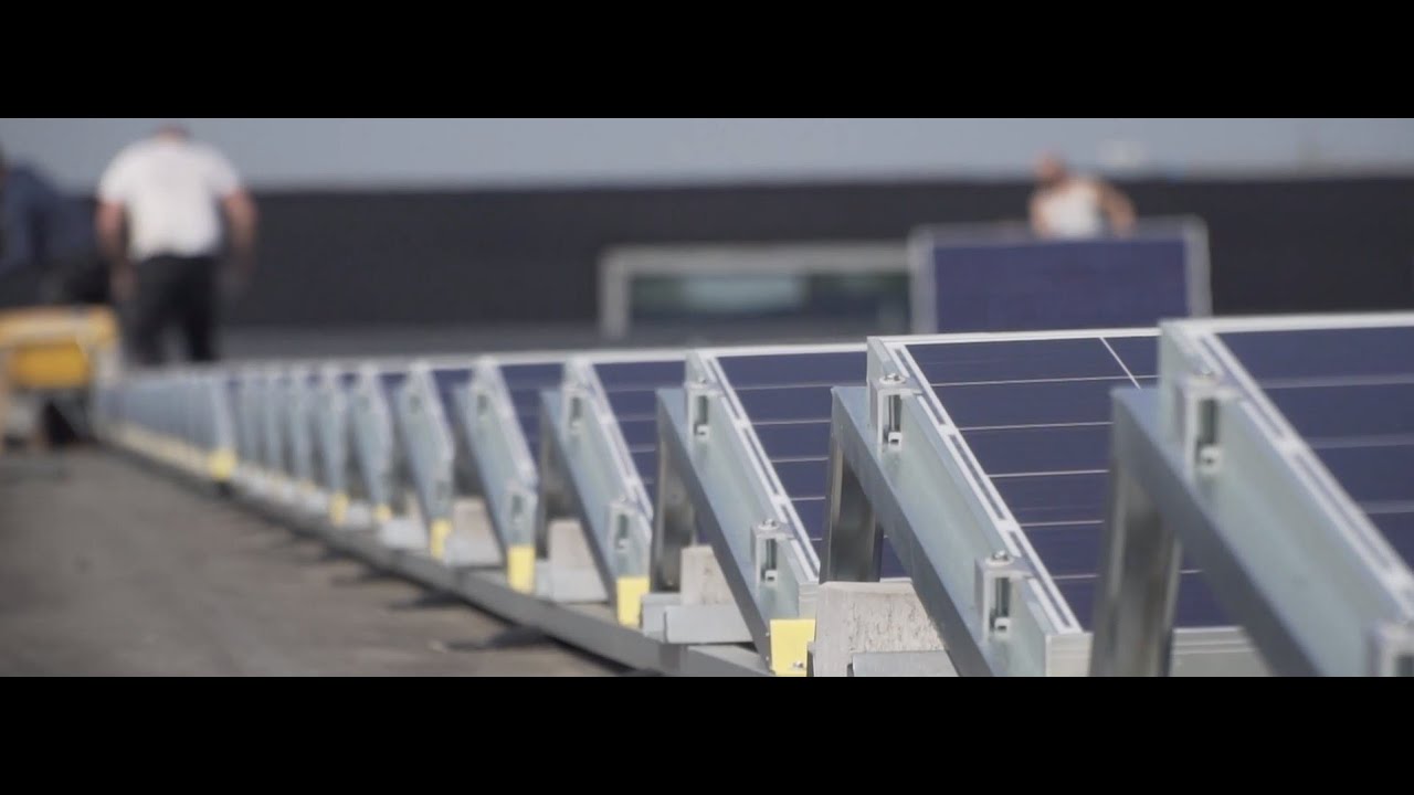 How To: Aannemersbedrijf Damsteegt CO2- neutraal maken!