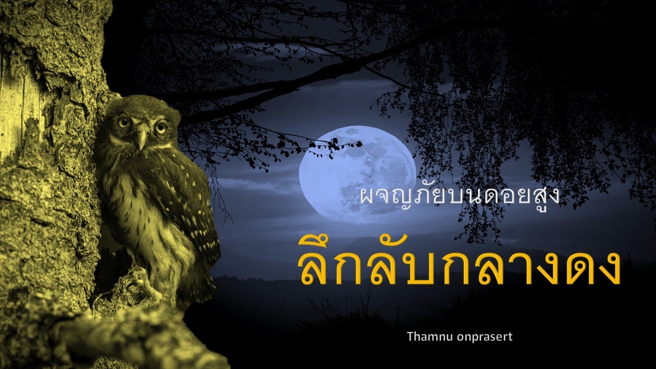 ๑๒๖.ลึกลับกลางดง ผจญภัยบนดอยสูง