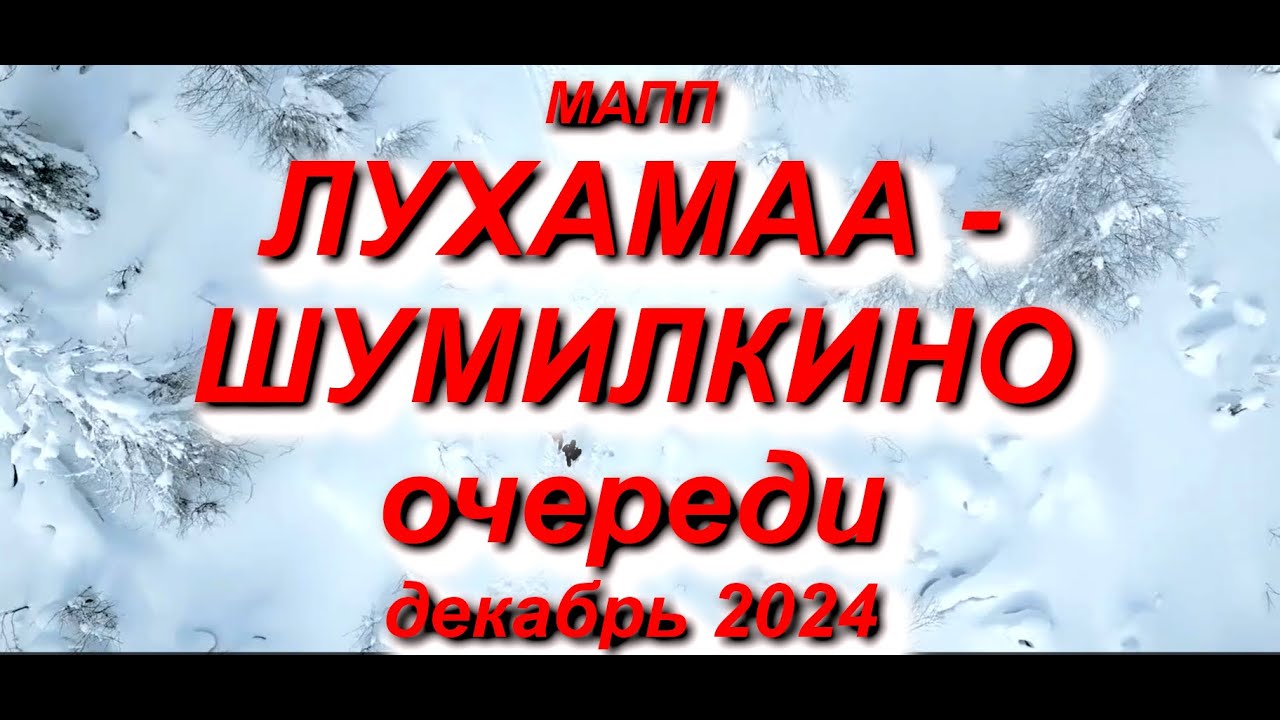 МАПП ЛУХАМАА - ШУМИЛКИНО СУТКИ В ОЧЕРЕДИ, начало декабря 2024 #граница #кпп #мапп #лухамаа