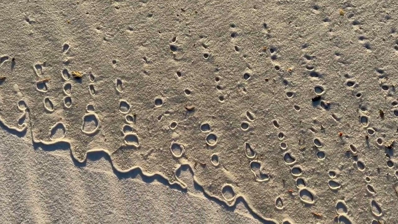 1-Minute Beach Calm | Ocean Air Vibes + Wave Sounds