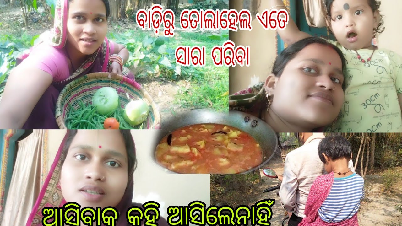 ବାଡିରୁ କେତେ ପରିବା ତୋଳାହେଲା❤//Tulasilife #Odia vlog #Village lifestyle #Viral video 