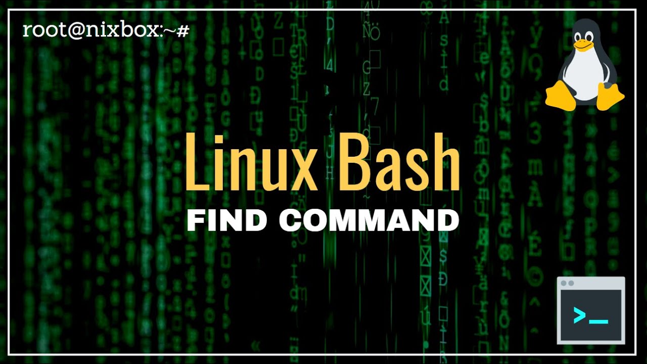 Как использовать команду Find в Linux Bash (15 примеров)