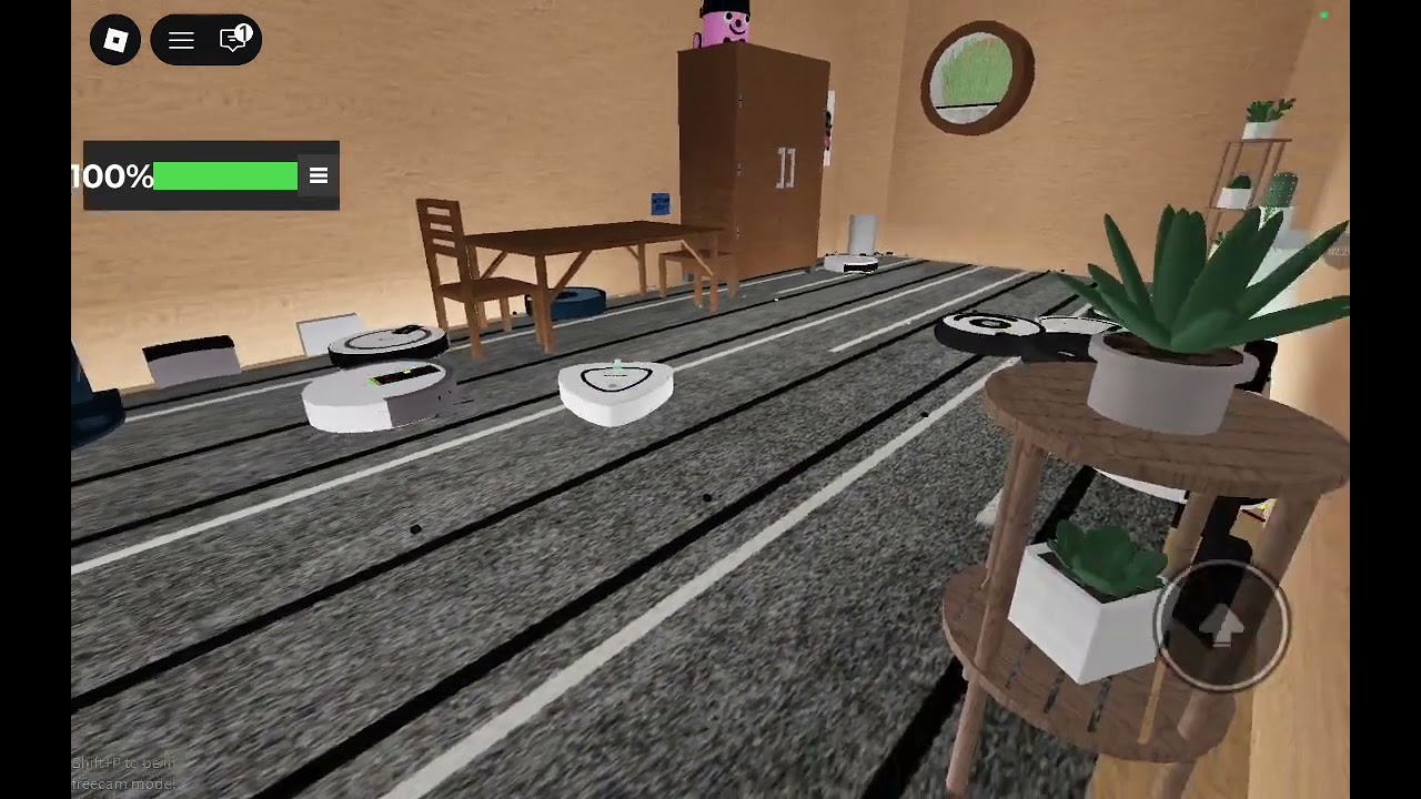 Roomba party 