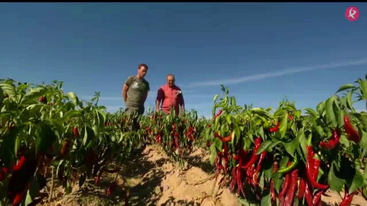 Así se prepara el Pimentón de la Vera