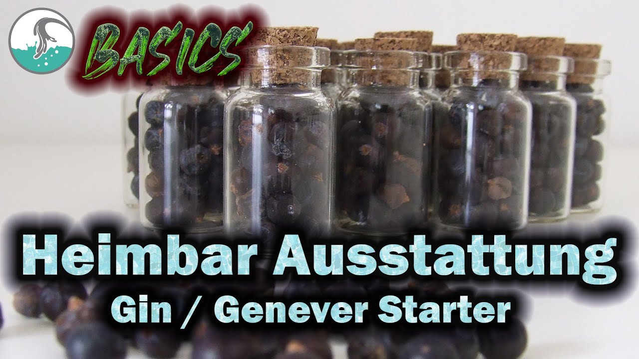 Basics der Heimbar - Hintergrundwissen Gin/Genever Starter Level