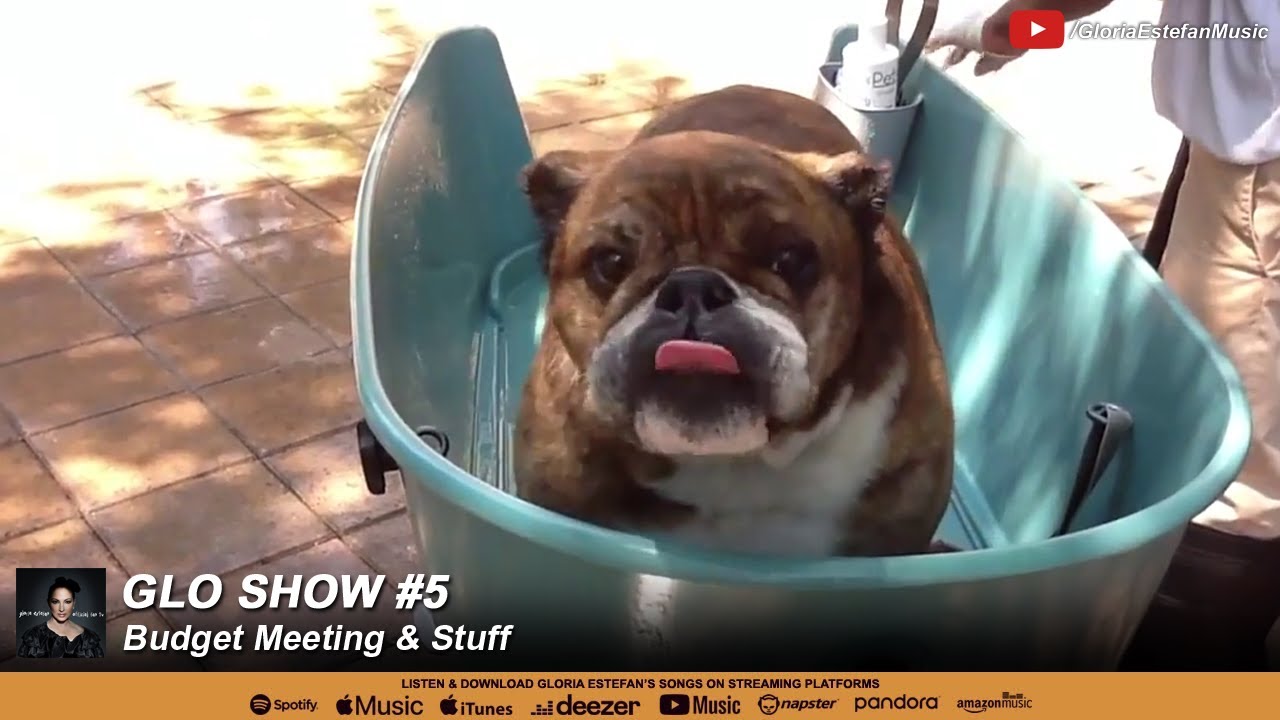 Glo Show #5: Budget Meeting & Stuff