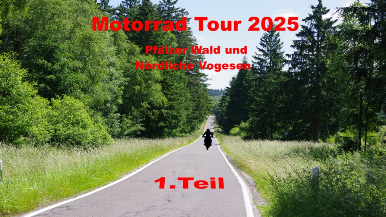 Pfälzer Wald 06.2025 Teil 1