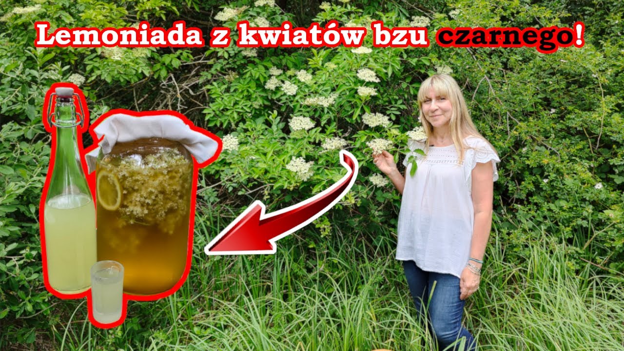 Najlepsza LEMONIADA na świecie! | Zrób to SAM!