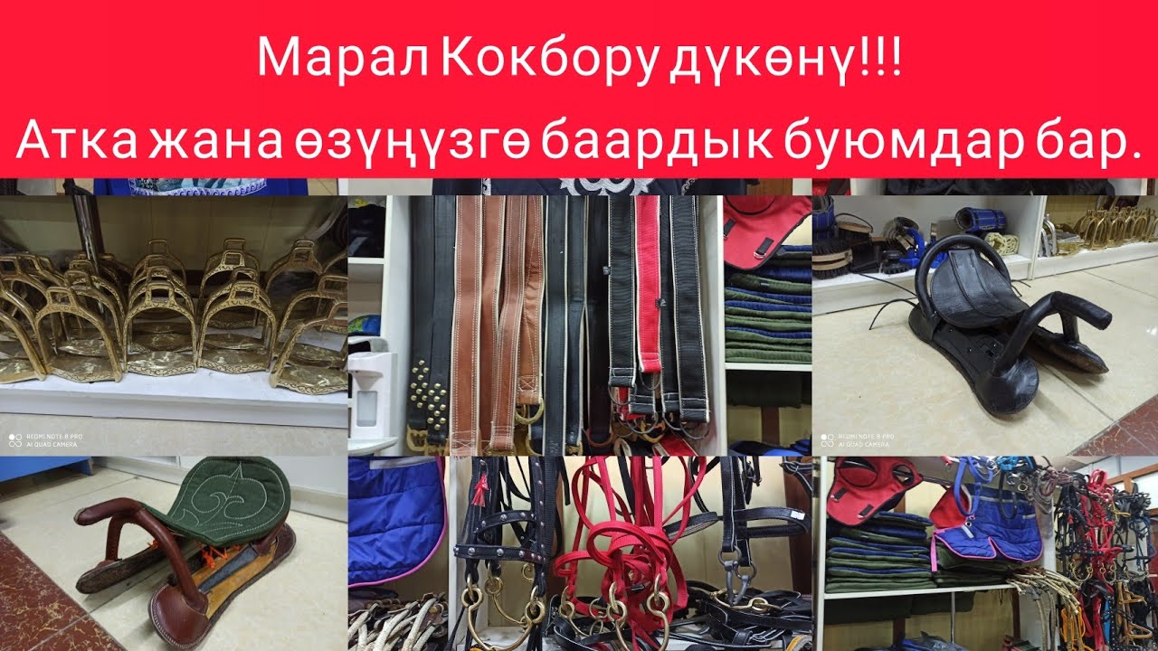 Марал ( Кокбору ) дүкөнү: Оюнчуларга жана Атка керектүү баардык буюмдарды сунуштайбыз.