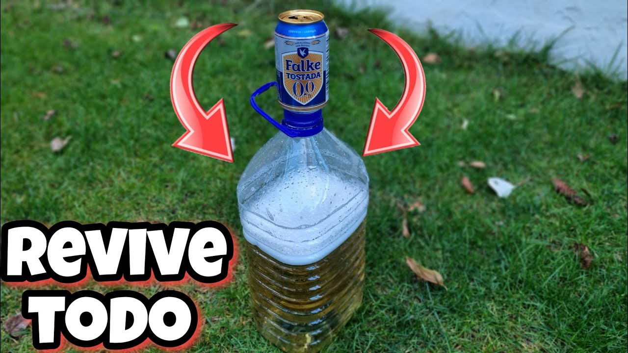 Todos tienen este PODEROSO ABONO casero orgánico para PLANTAS en su CASA y nadie lo sabe! De Cerveza