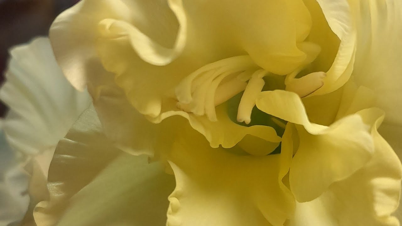 RAMADAN Night 🌙 ✨️